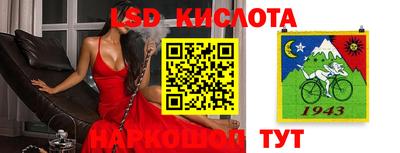 стаф Донецк