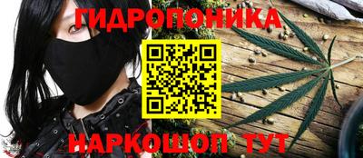 стаф Донецк