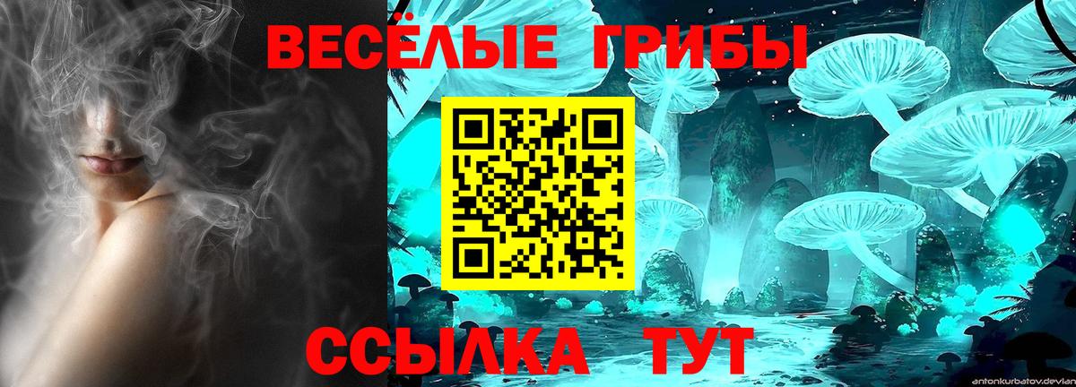 Донской  наркота  Вход с VPN  Галлюциногенные грибы Psilocybe 